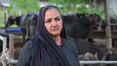 गुजरात