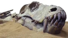 डायनोसोर, पर्यावरण, निसर्ग