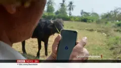 စစ်ကိုင်း၊ မကွေးနဲ့ မန္တလေးတိုင်းထဲက မြို့နယ်တချို့မှာ အင်တာနက်ပြတ်တောက်နေ