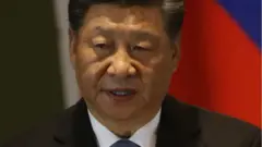 XI JINPING