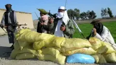 طالبان، ٹی ٹی پی