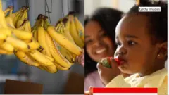 Aworan eso ọgẹdẹ ni apa osi, aworan ọmọde kan to n jẹ eso wa lapa ọtun.