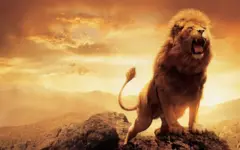 சிங்கங்கள், விலங்குகள், கிர், கர்ஜனை