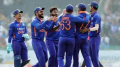 క్రికెట్