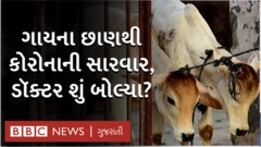 ગાયના છાણથી સારવાર