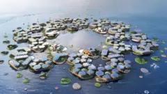 magaalada ay guryaheeda dul sabeeyaan biyaha badda