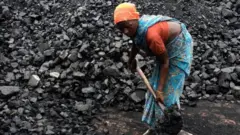 কয়লা।