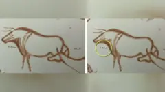 Restaurador de móveis usou tempo livre para analisar centenas de fotos de pinturas rupestres de 20 mil anos.