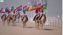 ऊंटों का ब्यूटी कॉन्टेस्ट