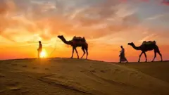 రాజస్థాన్