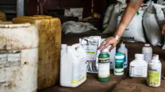 Ọgwụ eji arụ ugbo