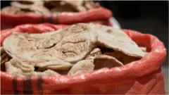 افغانستان