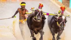 श्रीनिवास गौड़ा