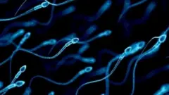 प्रतीकात्मक तस्वीर