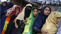 নির্বাচন