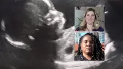 أنا ذاهب إلى فم الذئب وربما لن أعود"