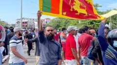 श्रीलंकेतील निदर्शनं