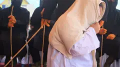 ግርፋት