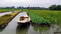 Fahmidar Akter