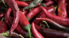 Paprika