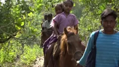 குதிரையில் பள்ளிக்கு செல்லும் குழந்தைகள்