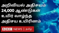 உயிரினம் அதிசயம்