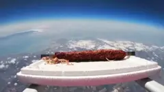 kebab