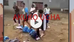 Ihe onyonyo ebe ndị omekome ji egbe a sị ụmụakwụkwụ ha yipu uwe ha