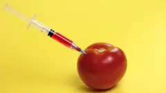 Seringa injetando líquido vermelho em tomate sobre fundo amarelo