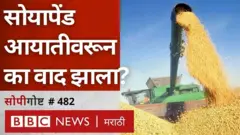 सोयापेंड आयात
