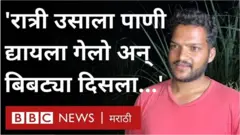 जालन्याचे शेतकरी ऊसाला पाणी देण्यासाठी रात्रपाळी का करत आहेत?
