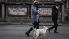 Çin'de köpek gezdiren bir kadın
