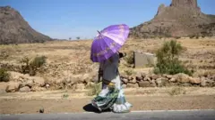 Tigray