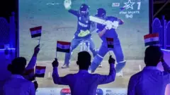 کرکٹ