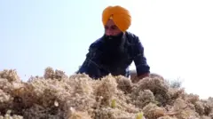 ਬਿਕਰਮ ਸਿੰਘ ਰੰਧਾਵਾ