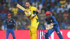 cricket