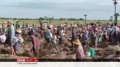 ဝက်လက်မှာ ရှေးဟောင်းပစ္စည်း တူးဖော်