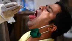 கொரோனா பரிசோதனை
