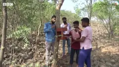 પક્ષીઓ માટે માળા બનાવતા ભાઈઓ