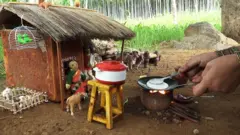 یہ انڈین خاتون چھوٹے چھوٹے برتنوں میں کھانا پکانا سکھاتی ہیں