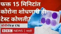 कोरोना लस, रॅपिड अँटिजेन चाचणी