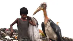 ગરીબીની પ્રતીકાત્મક તસવીર