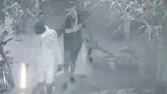 cheddi gangs