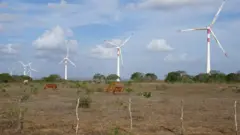 Fazendas eólicas no município de João Câmara