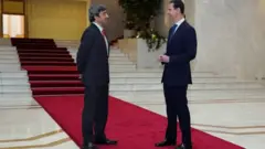 الاسد وعبد الله بن زايد