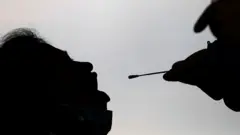 परीक्षण