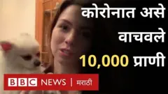 कोरोना उद्रेक, वुहान, पाळीव प्राणी