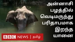கேரளாவில் கொடூரம்