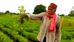 ખેડૂતને નુકસાન