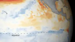 la niña